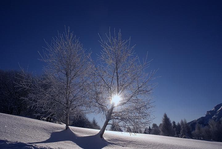 Controluce con luce 